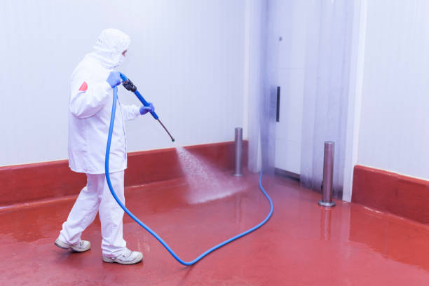 Best Roof Washing  in Cairo, IL